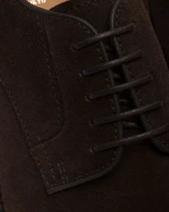 Pentire - Suede Derby