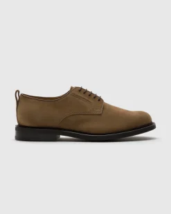 Pentire - Suede Derby