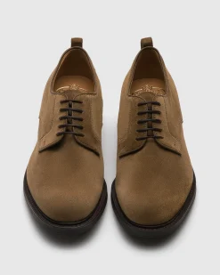Pentire - Suede Derby
